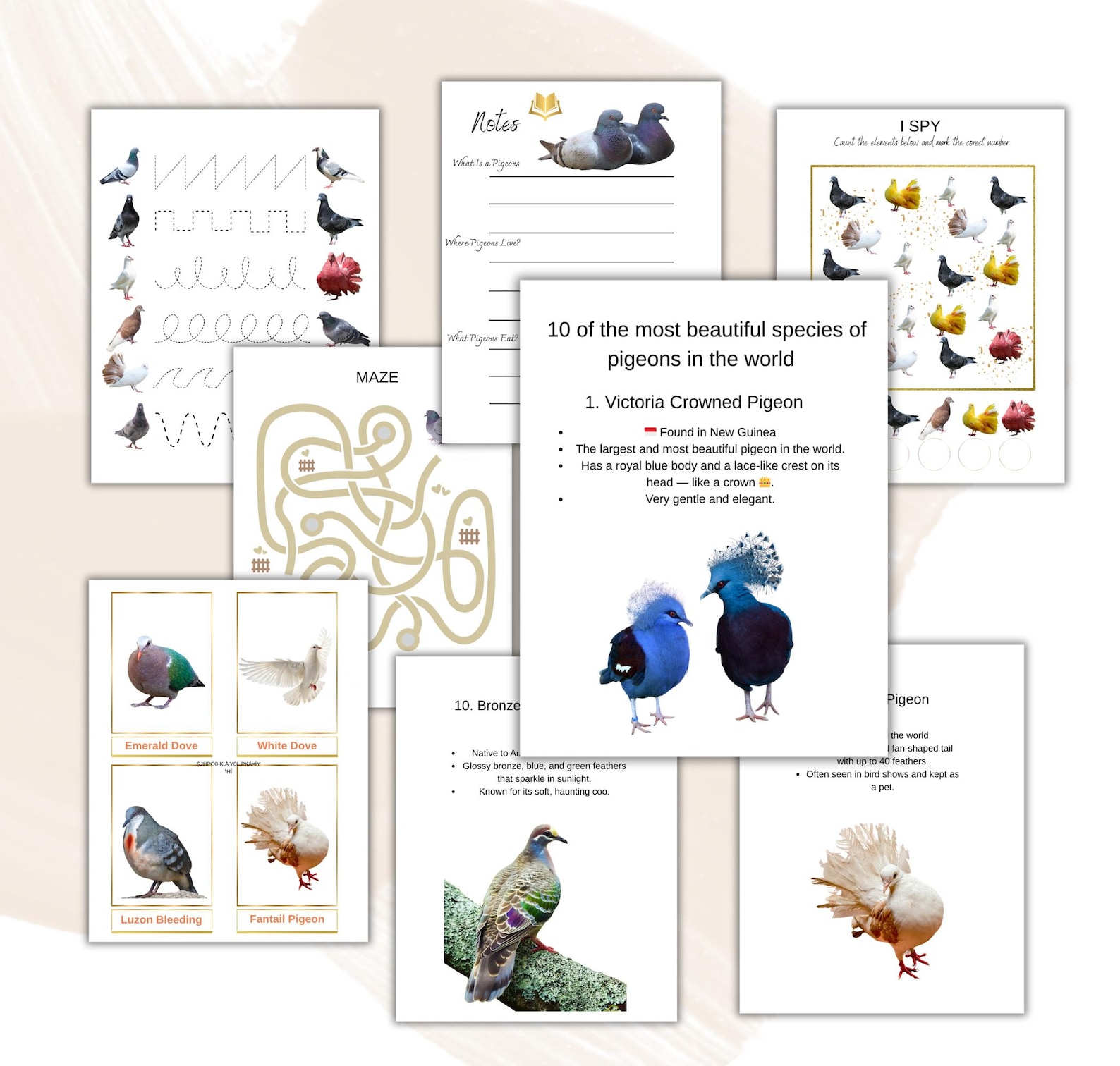 Pigeon Unit Study , Life Cycle, Anatomy, Science, Homeschool Printable ...