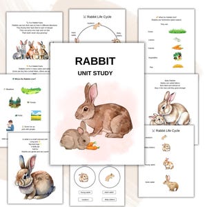 Könnte beinhalten: Eine Sammlung von Lehrseiten mit dem Titel "RABBIT UNIT STUDY". Die Seiten zeigen Aquarellillustrationen von Kaninchen, Karotten und Diagrammen über den Lebenszyklus und Fakten von Kaninchen. Die Farbpalette umfasst Braun-, Grün- und Rosatöne.
