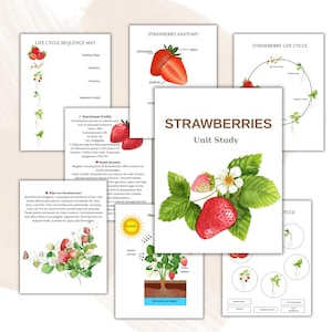 May include: A collection of educational printables about strawberries. The pages include diagrams of strawberry anatomy, life cycle, and nutritional information. The central page features the title "STRAWBERRIES Unit Study" with a watercolor illustration of strawberries and leaves.