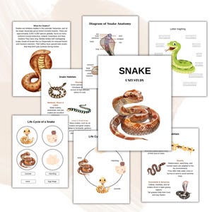May include: A collection of educational printables about snakes. The pages include diagrams of snake anatomy, snake habitats, and the life cycle of a snake. The title "Snake Unit Study" is displayed on one of the pages, along with illustrations of various snake species.
