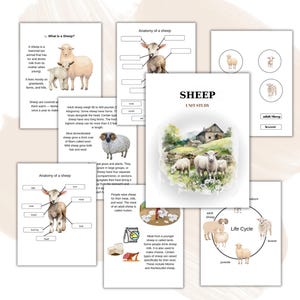 Schaf-Einheit Studie, Lebenszyklus, Anatomie, Naturstudie, Wissenschaft, Homeschool druckbare, Montessori, sofortiger Download