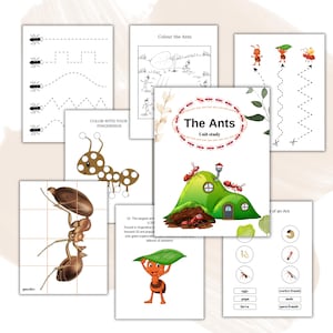 ANT, Unit Study, Life Cycle, Anatomy, Nature Study, Science, Homeschool Printable, Montessori, INSTANT DOWNLOAD