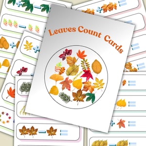 Hojas, Tarjetas para contar, Otoño, Actividades matemáticas, Descarga digital
