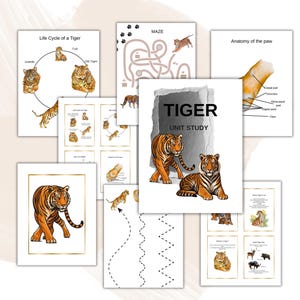 May include: A collection of educational printables with a tiger theme. The pages include illustrations of tigers, diagrams of tiger anatomy, a maze, and the text "TIGER UNIT STUDY". The color palette includes orange, black, white, and gold.