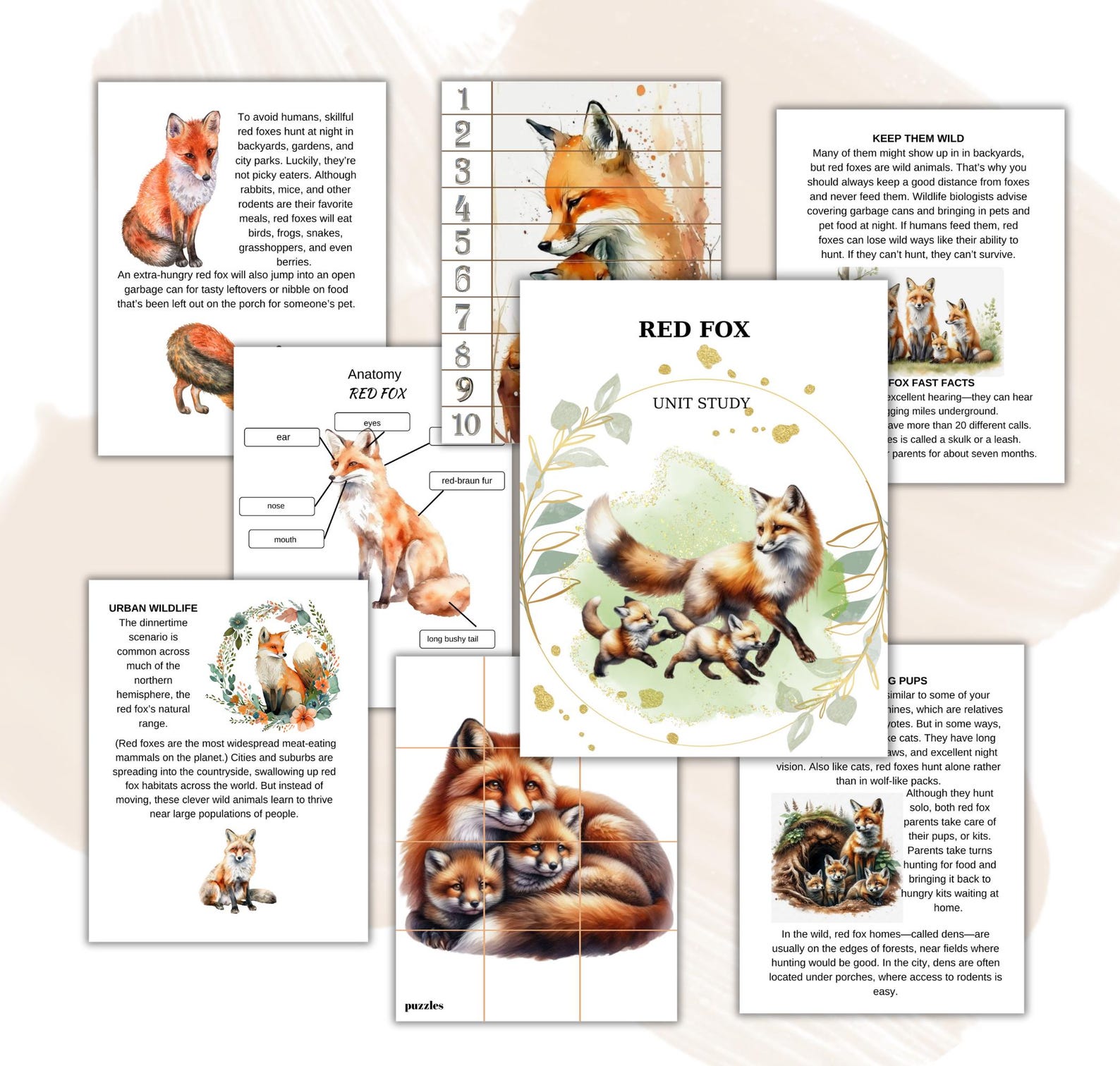 Fox Printable Factsheet Red Fox Unit Study: Homeschool Science Printable (instant Download) - Etsy