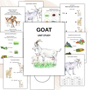 Puede incluir: Una colección de hojas de trabajo educativas tituladas Goat Unit Study, que incluyen ilustraciones de cabras, diagramas de partes del cuerpo, actividades de emparejamiento y textos informativos sobre hábitats, dietas y familias de cabras.
