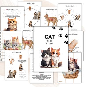CAT Unit Study, Life Cycle, Anatomy, Nature Study, Science, Handwriting, Homeschool Printable, Montessori, Instant Download