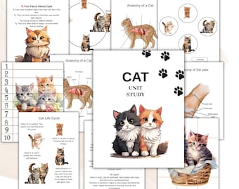 猫の解剖学、猫のプリント、自然学習、ホームスクールの猫のプリント