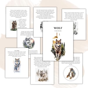 1 WOLF , Unit Study, Life Cycle, Anatomy, Nature Study, Science, Handwriting, Homeschool Printable, Montessori, Instant Download