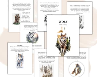 Puede incluir: Un conjunto de materiales educativos con ilustraciones de acuarela de lobos. Las páginas incluyen texto sobre el comportamiento de los lobos, la dinámica de la manada y la comunicación. El título "WOLF UNIT STUDY" se muestra en una página.