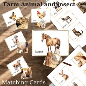 Boerderijdieren en insecten bijpassende patroonkaarten, op de zomer geïnspireerde natuurstudieactiviteit, kleuterschool, kleuterschool, montessori, thuisonderwijs.