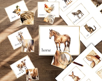 Farm Animals & Insects Matching Cards: Montessori Nature Study (Digital Download)