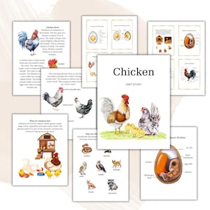 May include: A colorful illustrated unit study about chickens. The pages include facts about chickens, what they eat, and a diagram of a chicken embryo. The cover page features a rooster, hen, and chicks.