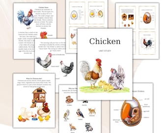 Chicken Unit Study , Life Cycle, Anatomy, Science, Homeschool Printable, Montessori, DIGITAL DOWNLOAD