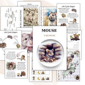 Puede incluir: Una colección de imprimibles educativos para un estudio de la unidad de ratones. Las páginas incluyen información sobre los ciclos de vida de los ratones, la estructura esquelética y una página de título del estudio de la unidad. Las ilustraciones presentan ratones, diagramas y texto.