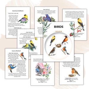 BIRD Unit Study, Life Cycle, Anatomy, Nature Study, Science, Handwriting, Homeschool Printable, Montessori, Instant Download