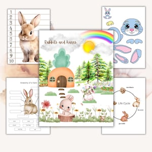 RABBIT and HARE Unit Study, Life Cycle, Anatomy, Nature Study, Science, Homeschool Printable, Montessori, Instant DOWNLOAD