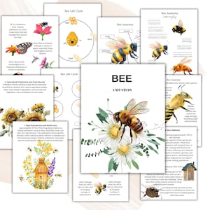 Puede incluir: Un conjunto de imprimibles educativos sobre abejas. Las páginas presentan ilustraciones de abejas, flores y diagramas de anatomía de las abejas y el ciclo de vida de las abejas. El título "BEE UNIT STUDY" se muestra de forma destacada.