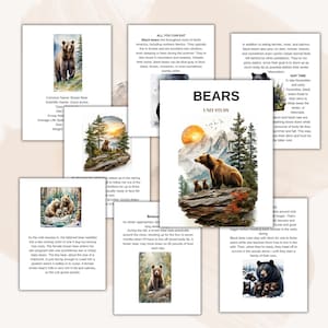 BEARS Unit Study, Life Cycle, Anatomy, Nature Study, Science, , Homeschool Printable, Montessori, Instant DOWNLOAD
