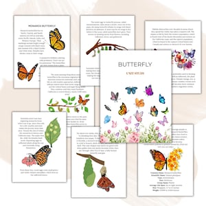 May include: A colorful educational poster about the Monarch butterfly, with illustrations of the butterfly in different stages of its life cycle, including egg, caterpillar, chrysalis, and adult. The poster also includes text about the butterfly's migration, habitat, and conservation.