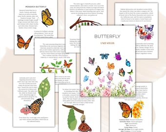 Schmetterlinge Einheit Studie, Lebenszyklus, Anatomie, Naturstudie, Wissenschaft, Homeschool druckbare, Montessori, SOFORTIGER DOWNLOAD