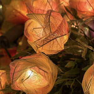 Puede incluir: Primer plano de luces florales iluminadas, delicadas y de color naranja. Las luces tienen forma de flores con intrincados patrones similares a venas y están ensartadas en un cable. El fondo presenta follaje verde, creando un ambiente cálido y acogedor.