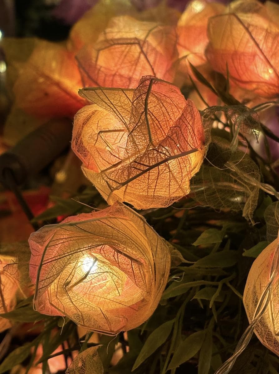 Rose Garland String Lights: Boho Floral Decor, USB/Battery Powered