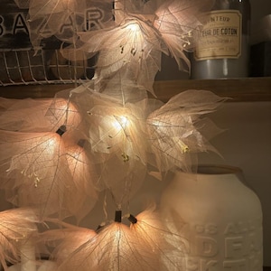 May include: A string of delicate, illuminated leaf-shaped lights in a warm, soft glow. The lights are draped near a white ceramic vase with embossed text and a vintage-style jar. The overall aesthetic is cozy and decorative.