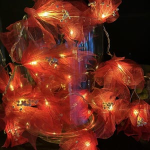 May include: String of fairy lights with red leaf-shaped paper lanterns. The lights are strung together with clear wire and are illuminated with warm white LED bulbs.