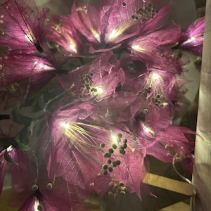 Puede incluir: Un ramo de delicadas hojas rosadas secas con luces de hadas integradas. Las luces iluminan las hojas translúcidas, creando un brillo cálido y fantástico.