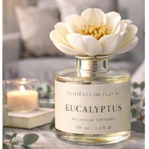 Peut inclure: Un diffuseur botanique en verre avec un dessus en forme de fleur blanche. L'étiquette indique "Lumières de Fleurs Eucalyptus Botanical Diffuser 100 ml". Une bougie allumée et de la verdure sont en arrière-plan.