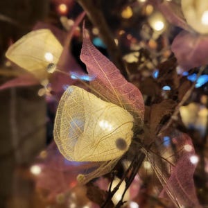 May include: Close-up of decorative lights with a warm glow. The lights are encased in delicate, web-like structures, with pink and beige leaves surrounding them. The background is blurred with additional bokeh lights.