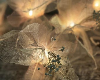 Flower String Lights – Pink Ecru Lily Floral LED Fairy Lights for Home Décor