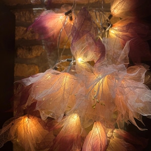 May include: A string of decorative lights featuring translucent, skeletonized leaf-shaped shades in gradient shades of white, peach, and deep purple. Each delicate leaf structure is illuminated from within by a small, warm-toned LED bulb.