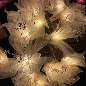 Pode incluir: Uma corda de luzes de fada com delicados tons brancos em forma de folha. As luzes são enfiadas com um fio transparente e emitem um brilho branco quente.