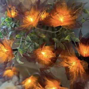 Puede incluir: Cadena de luces con bombillas de luz cálida, cada bombilla está encerrada en una hoja seca marrón. Las hojas están dispuestas en un racimo, creando un aspecto natural y rústico.