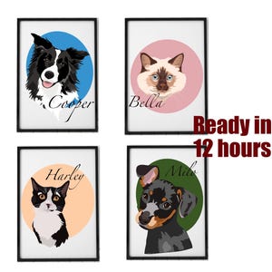 Pet illustration , Custom Pet Portrait, Cartoon Portrait from Photo, Cartoon Dog Portrait, Cartoon Cat, Head and Neck, Digital Download