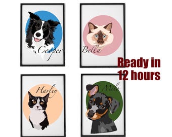 Pet illustration , Custom Pet Portrait, Cartoon Portrait from Photo, Cartoon Dog Portrait, Cartoon Cat, Head and Neck, Digital Download