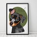 see more listings in the color drawing of a pet section