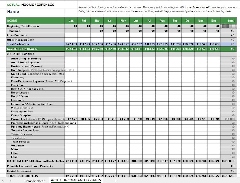 May include: A spreadsheet with a green header row labeled "ACTUAL INCOME/EXPENSES". The spreadsheet is divided into columns for each month of the year, with a final column for "Total". The spreadsheet is used to track income and expenses for a business.