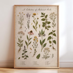 May include: A framed botanical print titled A Collection of Medicinal Herbs, featuring twelve numbered illustrations of plants including chamomile, lavender, and nettle. The artwork is set against a light beige background with black text.