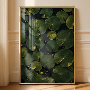 May include: A rectangular wall art print featuring a high-angle view of numerous dark green lily pads floating on deep, shadowed water. The artwork is encased in a thin, metallic gold frame, highlighting the natural circular shapes and textures.
