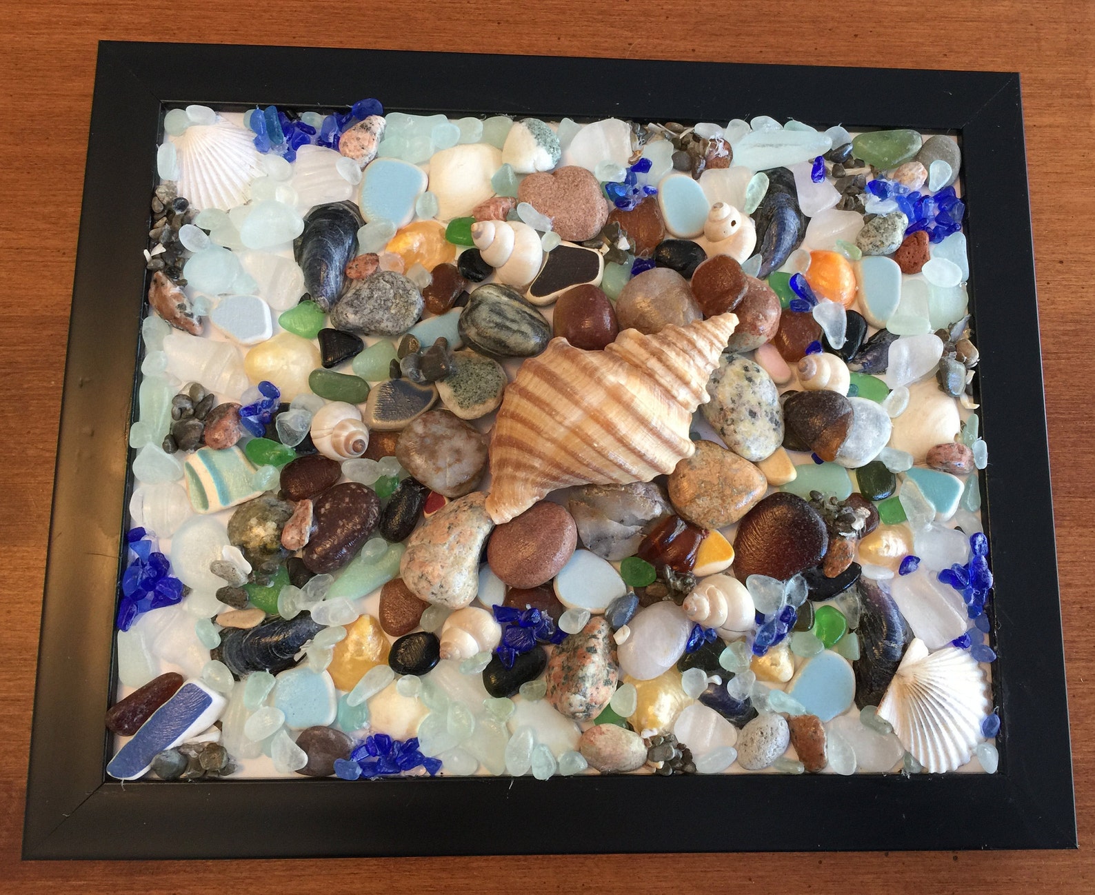 Real Shells Sea Glass Stones Art Beach Decor Artwork Coastal Etsy