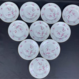 Vintage Carina China &quot;Fiorella&quot; &quot;6&quot; Plates – Set of 10 – Made in Bavaria, Germany