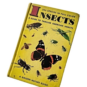 Vintage Insects Guide Book, Golden Nature Book, 1956 Edition