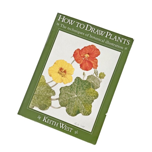 How to Draw Flowers Etsy