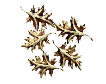 FIVE Copper Brass Finish Leaves, Metal Oak Leaf Wall Decor, Set of 5 Oak Leaves, Leaf Wall Hangings, Metalcraft Oak Leaves for Wall