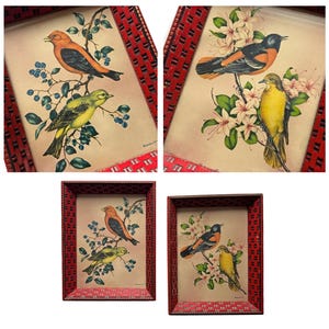 Framed Bird Art Set, Two Framed Vincent Art Birds, Red Framed Birds Prints by Vincent, 1950s Framed Scarlet Tanager and Oriole Art Prints