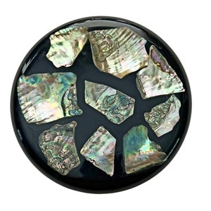 Black Abalone Shell Trivet, Black Blue Real Abalone Shell Trivet, Betty&#39;s Shells Lustrous Abalone Shell and Lucite Round Footed Trivet