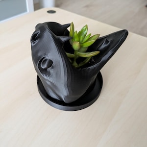 Snake Planter | Plant Pot with Drainage | The Year of Snake